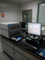 高通量实时荧光定量PCR